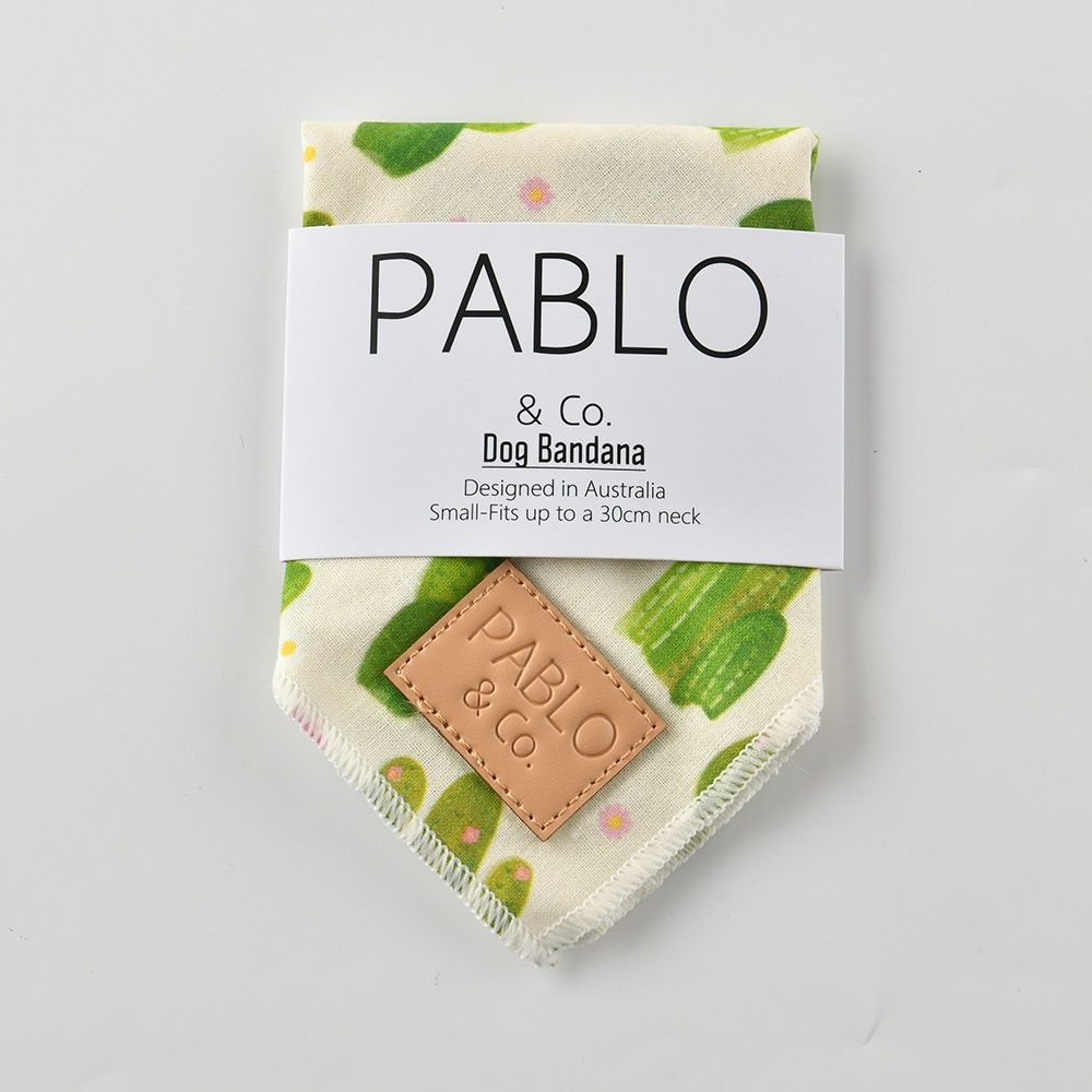  Pablo &Co 寵物領巾 綠洲仙人掌 M