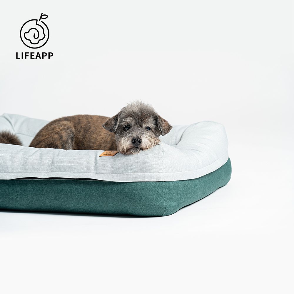 Lifeapp 愛兒堡/M(寵物緩壓睡墊中型犬適用)