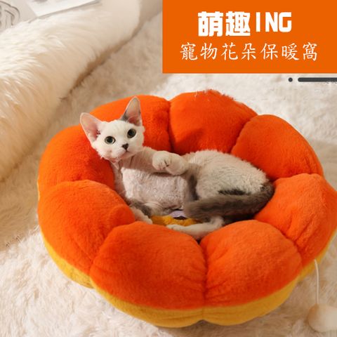 【寵物愛家】寵物秋冬保暖萌趣迷你花朵貓犬寵物窩
