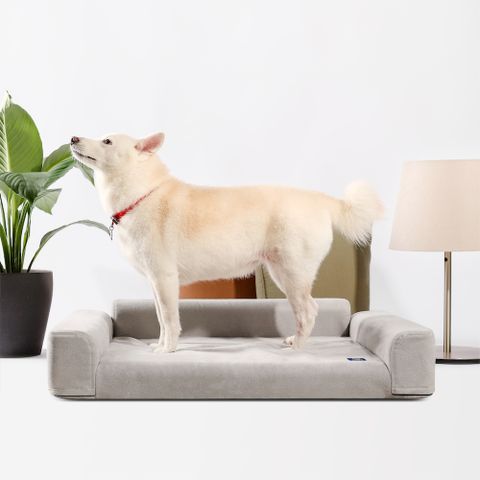 【LINGO】寵物沙發床2.0-M（台灣設計製造）