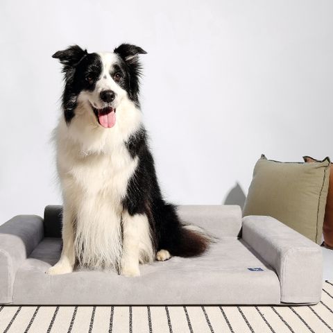 【LINGO】寵物沙發床2.0-L（台灣設計製造）