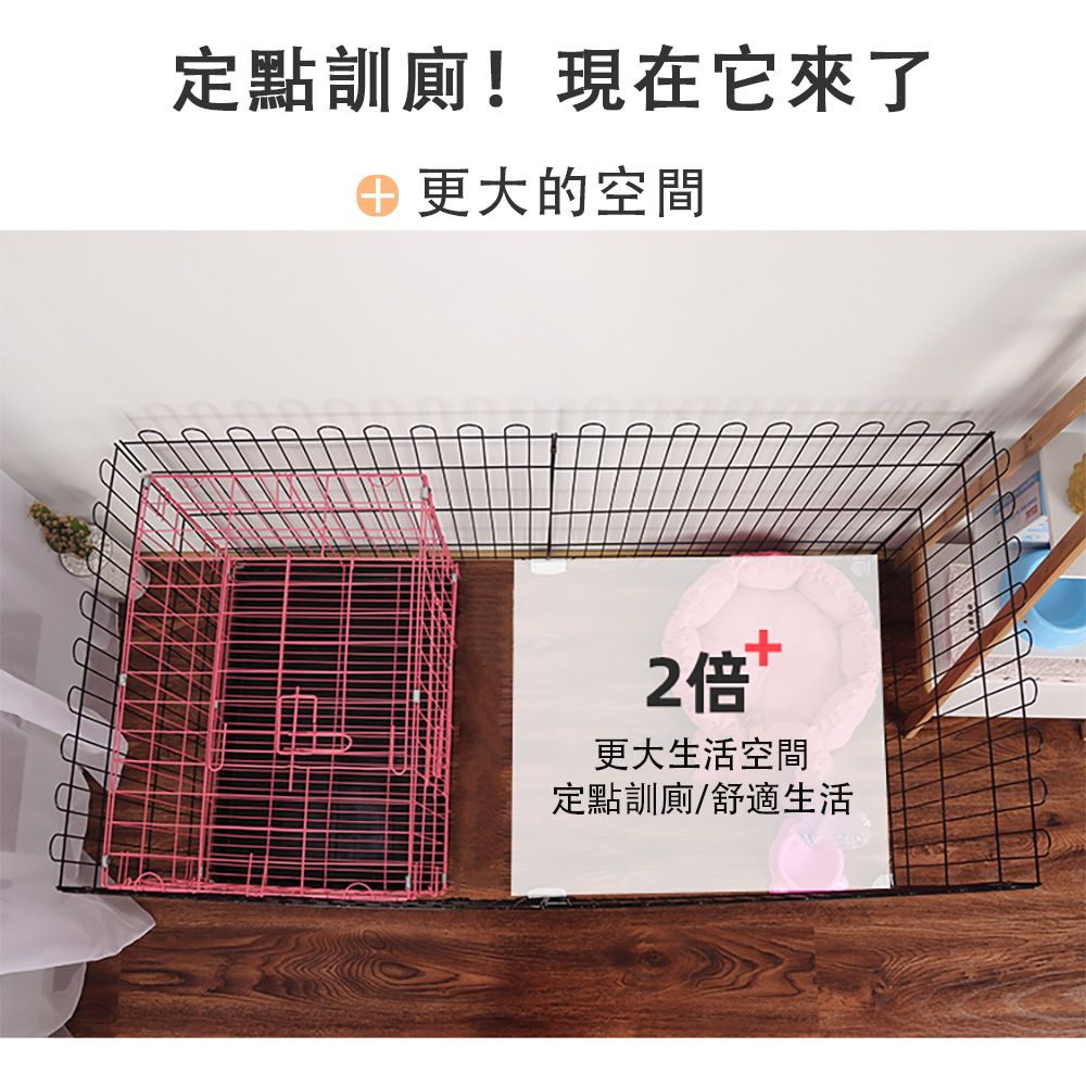 定點訓廁!現在它來了 更大的空間2倍更大生活空間定點訓廁/舒適生活