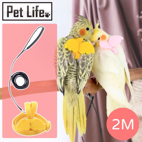 Pet Life 翅膀造型 更加吸睛 鳥用玄鳳鸚鵡飛行背帶牽繩組/輕量放飛牽引繩