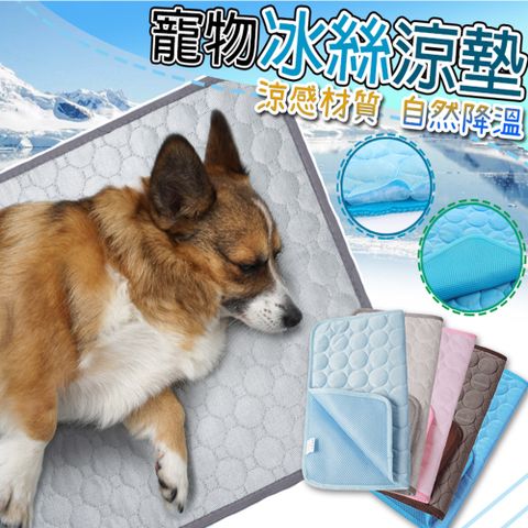 多功能涼感冰絲寵物墊- L 70x55cm(夏日消暑/冷感降溫/寵物睡墊/冰涼睡墊)