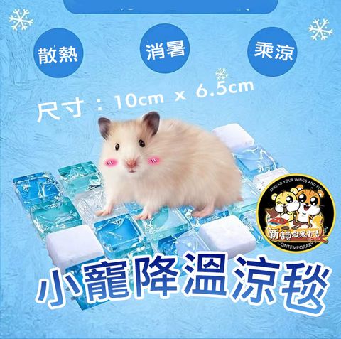 新韻寵愛市集 倉鼠 黃金鼠 涼毯 小寵物 散熱板 消暑 冰墊 降溫板 涼墊 散熱墊