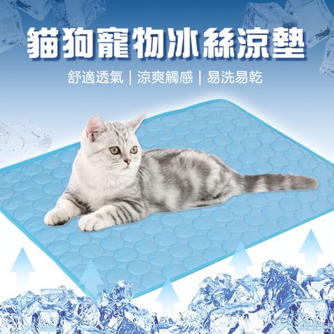 貓狗寵物冰絲涼墊-M