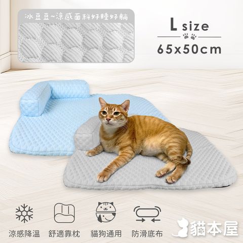 貓本屋 冰豆豆涼感 可拆洗靠枕寵物睡墊(L號/65x50cm)