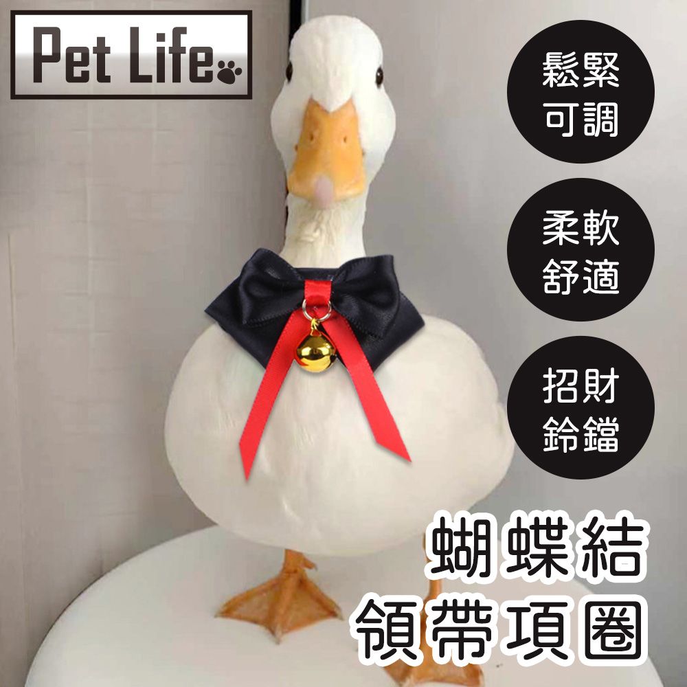 Pet Life  柯爾鴨寵物鴨鸚鵡小鳥蝴蝶結領帶項圈 黑色