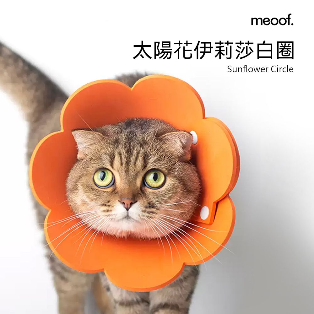 meoof 覓凹  太陽花伊莉莎白圈 貓咪防舔圈