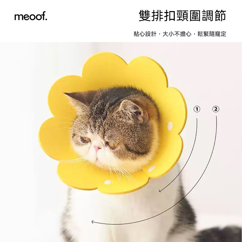 meoof 覓凹  太陽花伊莉莎白圈 貓咪防舔圈