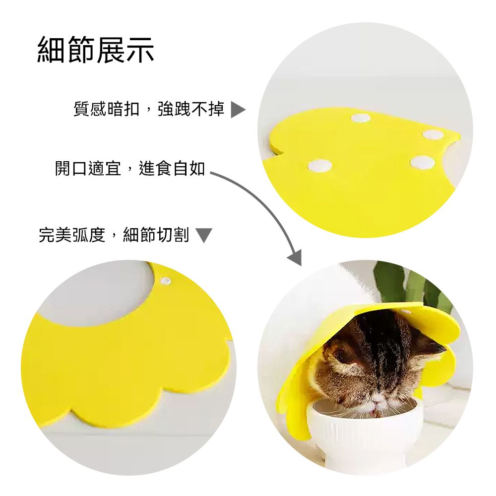 meoof 覓凹  太陽花伊莉莎白圈 貓咪防舔圈