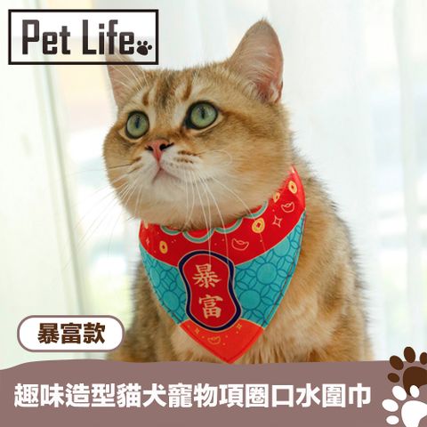 Pet Life 趣味造型貓犬寵物項圈口水圍巾 暴富款