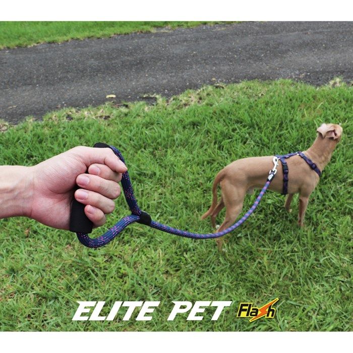 ELITE PET FLASH系列 反光寵物運動拉繩 XS-S號