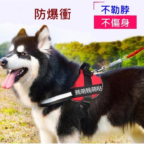 Caiyi 凱溢小中大型犬防暴衝K9胸背帶 寵物防暴衝帶 狗胸背帶 L