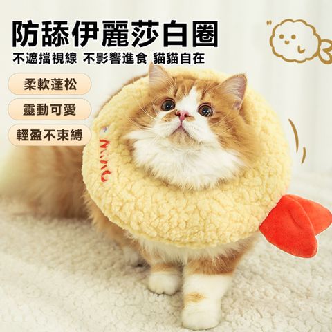 貓咪伊麗莎白圈