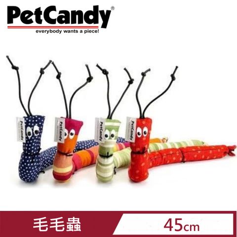 【2入組】PetCandy貓草玩具-Cat erpillars毛毛蟲 (PC03038)