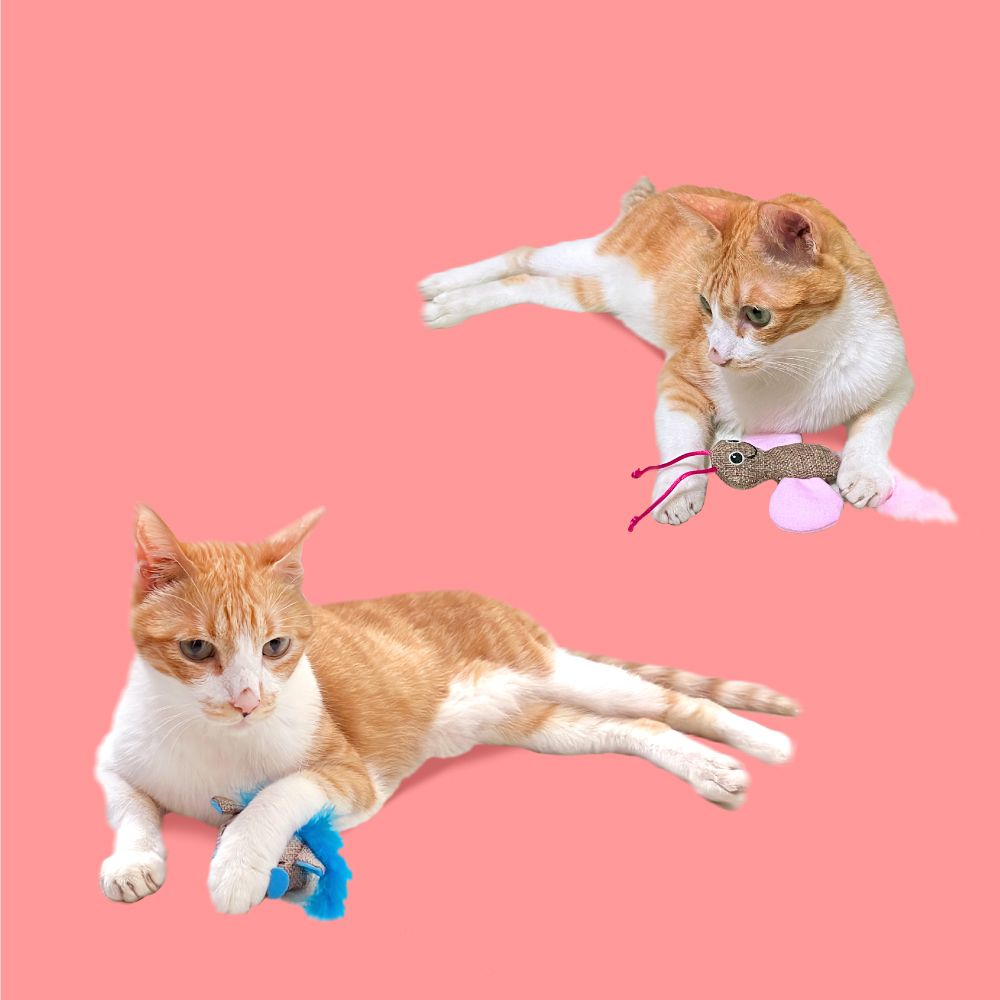 M-PETS CATOY 夜光逗貓玩具-蝴蝶+老鼠- PChome 24h購物