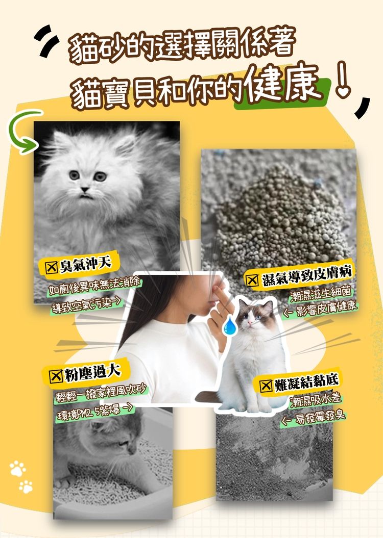 貓砂的選擇關係貓寶貝和你的健康!臭氣沖天如廁後異味無法消除導致空氣污染粉塵過大輕輕一撥家裡風吹砂環境紫爆濕氣導致皮膚病潮濕滋生細菌影響皮膚健康難凝結黏底潮濕吸水差 易發霉發臭