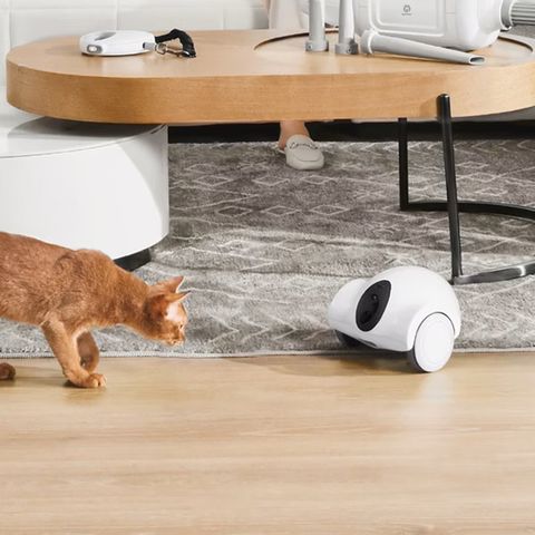 GULIGULI Hiibo 智能伴寵機