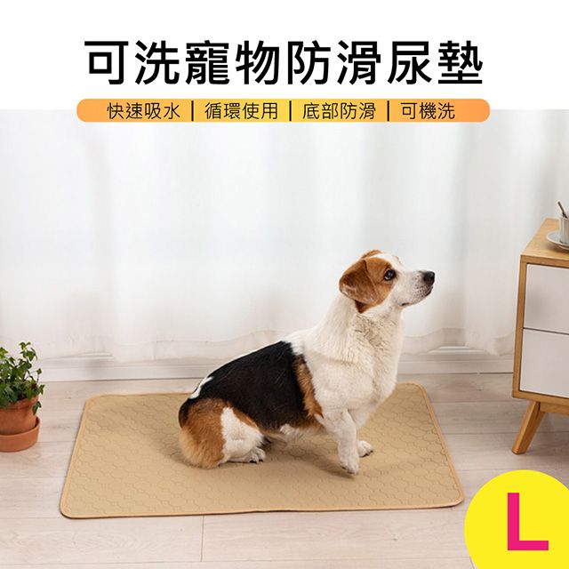 3D AIR  環保可清洗吸水隔尿防滑寵物墊/尿布墊-米色L (50cm*70cm)