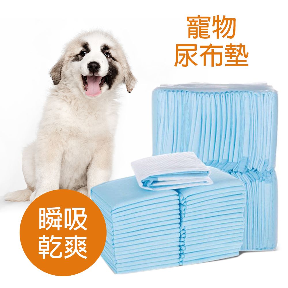 寵物尿墊尿布【L號-60x90cm-25入】 犬用尿墊貓用尿墊吸水尿布狗尿布貓