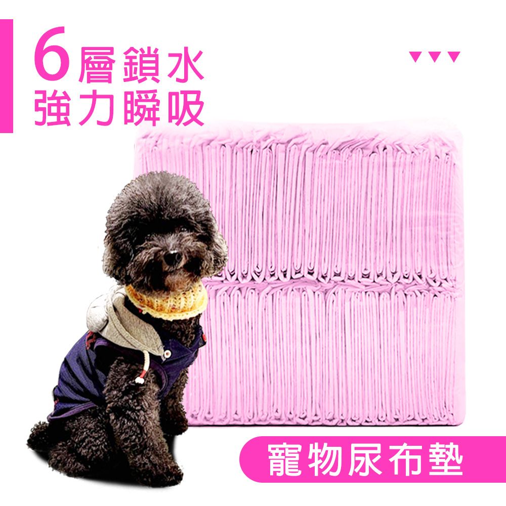 寵物尿墊尿布【S號-30x45cm-100入】 犬用尿墊貓用尿墊吸水尿布狗尿布貓