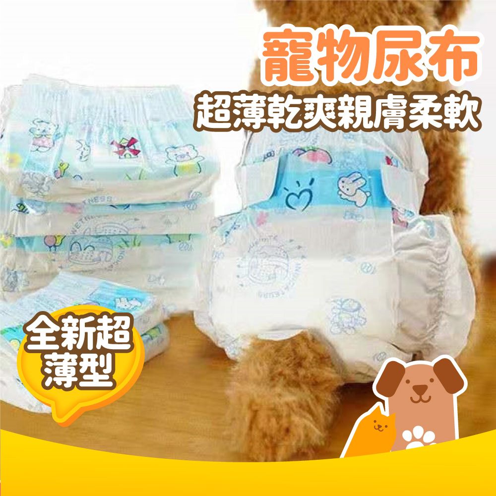  寵物尿布 母狗10片 XXS號 (禮貌帶 生理褲 寵物 拋棄式 紙尿褲 狗狗 寵物專用)