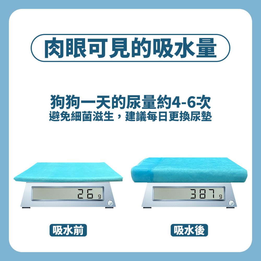 BV Pets 1.5KG 厚款 家用標準型 寵物尿布墊 M號 8包組 (寵物尿墊/寵物尿布/尿布墊/尿墊/尿片)