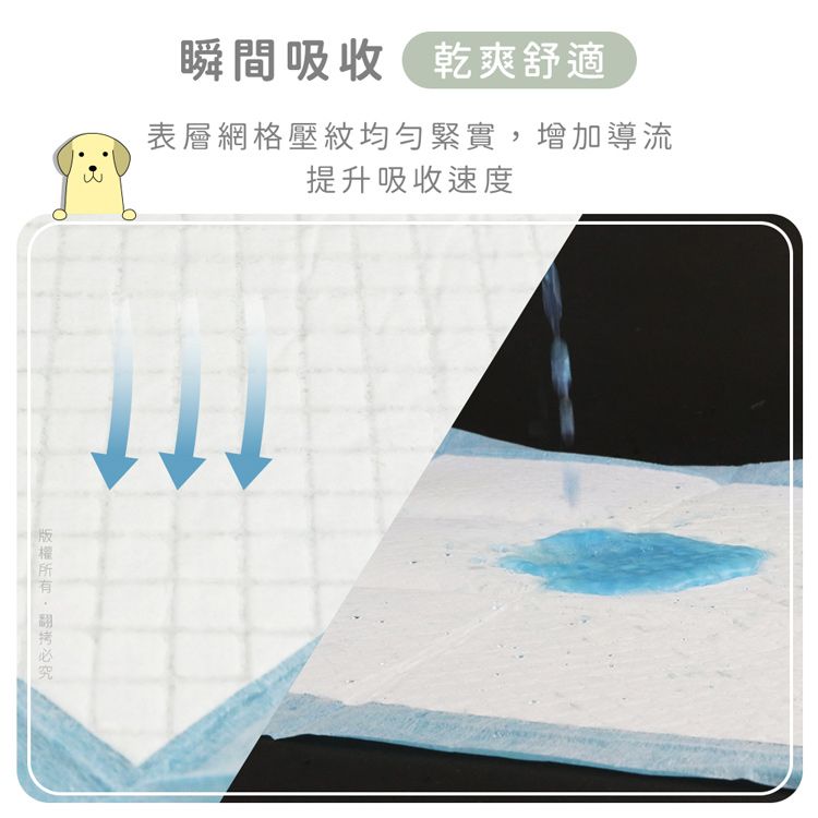 汪本屋  實用經濟款 寵物尿布墊-L號(25片/包)