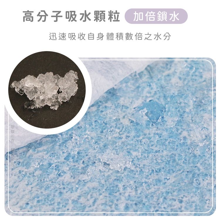 汪本屋  實用經濟款 寵物尿布墊-L號(25片/包)