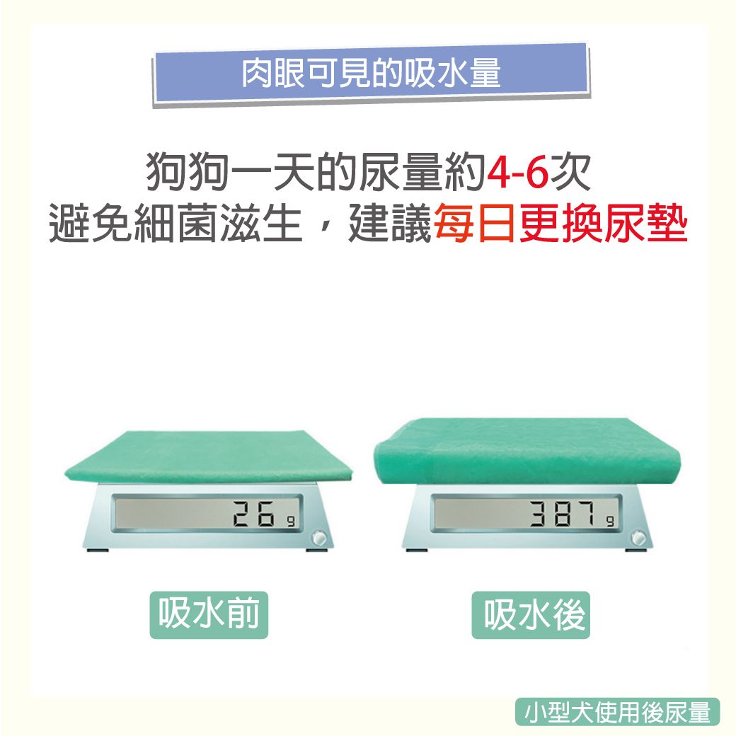 肉眼可見的吸水量狗狗一天的尿量約4-6次避免細菌滋生建議每日更換尿墊387吸水前吸水後小型犬使用後尿量