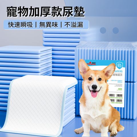 PetsHome 加厚寵物尿布墊 無香拋棄式狗尿墊 一次性寵物尿片 隔尿保潔墊 免洗狗尿片【多尺寸多入】