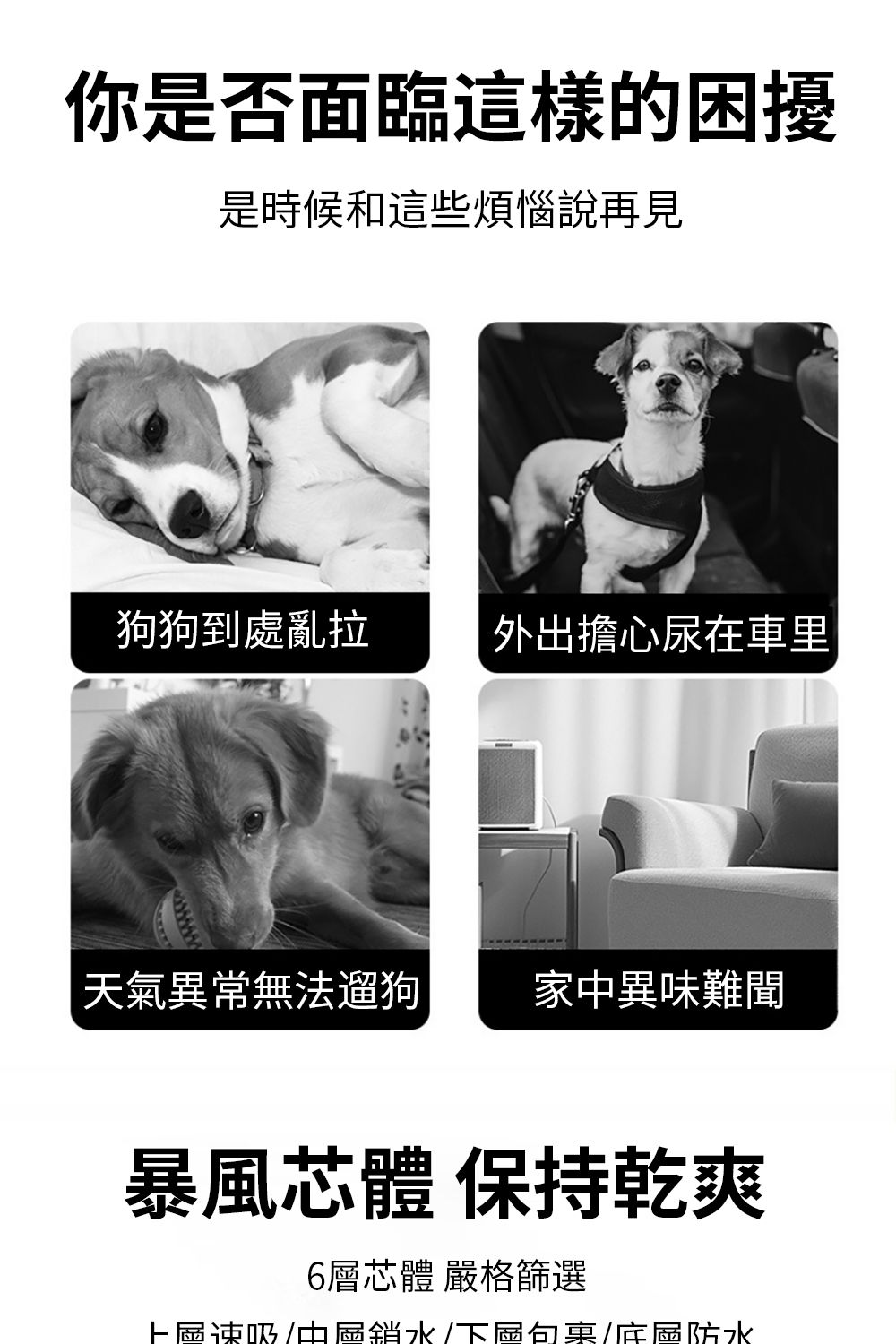 你是否面臨這樣的困擾是時候和這些煩惱說再見狗狗到處亂拉外出擔心尿在車里天氣異常無法遛狗家異味難聞暴風芯體 保持乾爽6層芯體 嚴格篩選速吸中水/下句/區防水