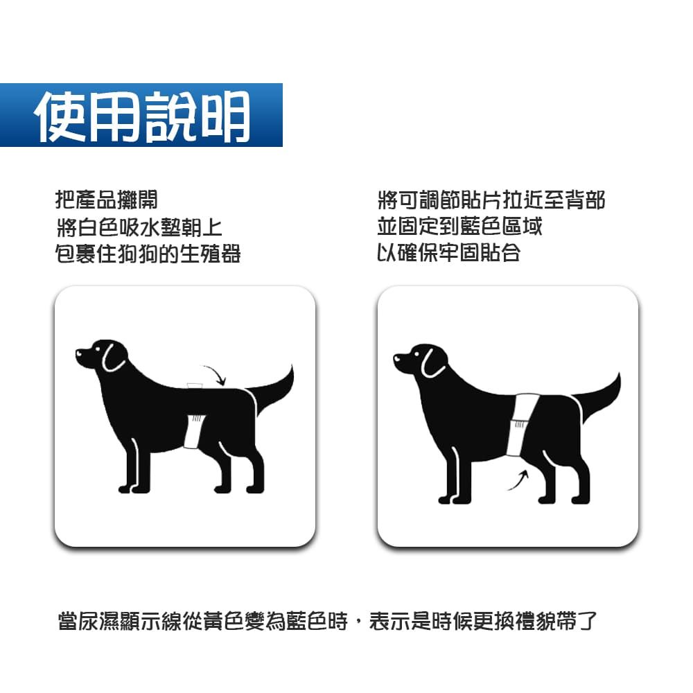 BV Pets 寵物禮貌帶 公犬用 男用 單包 (公狗禮貌帶/寵物尿布/狗尿布/狗尿褲)