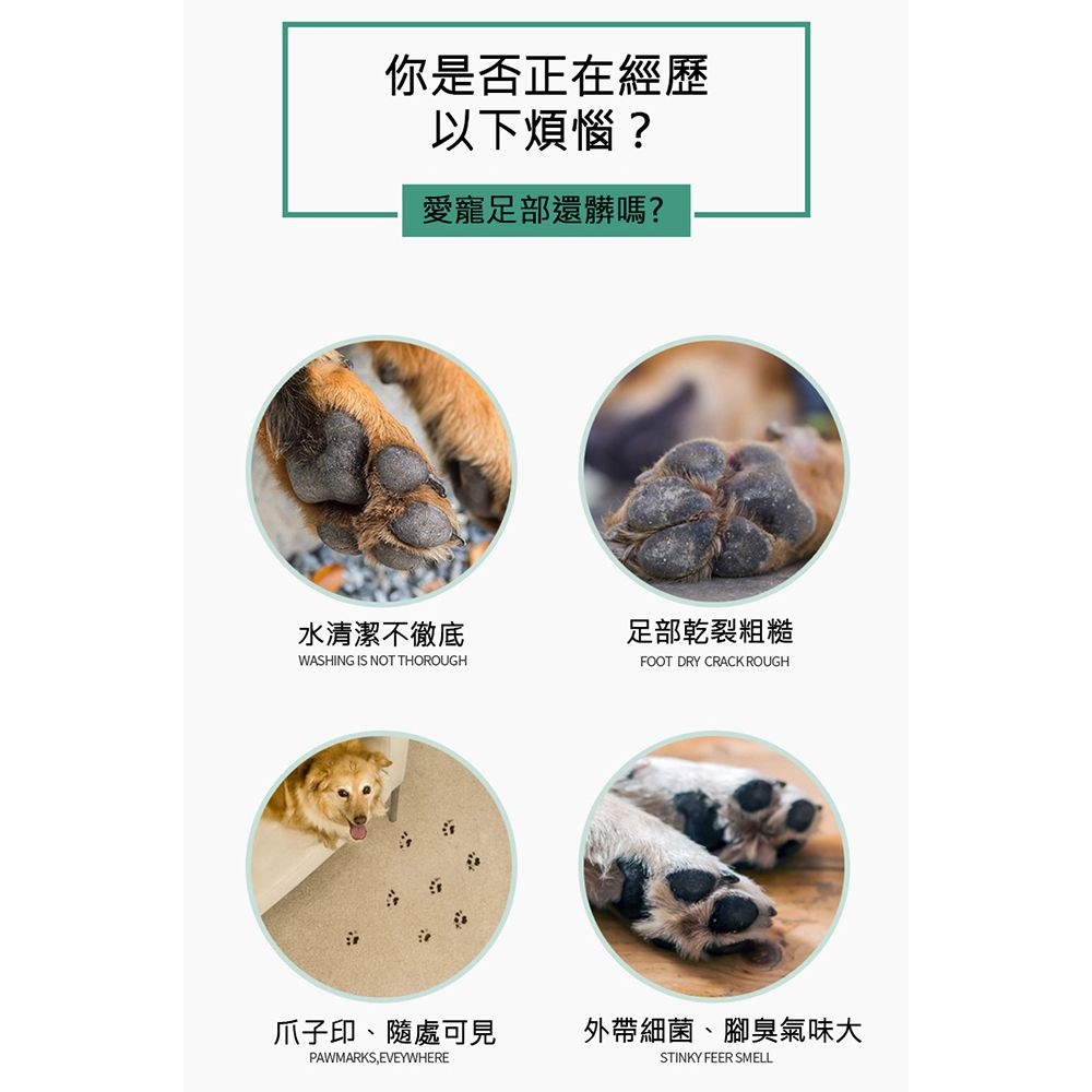  貓狗寵物潔足泡沫洗腳液/清潔慕斯(2罐) 清潔保濕 足部腳掌護理