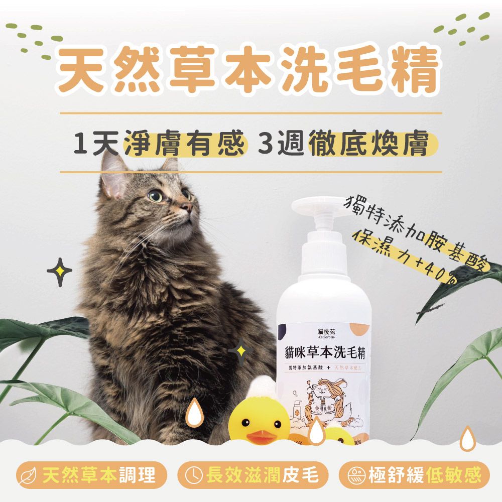 catgarden 貓後苑  貓咪草本洗毛精 試用組 1罐