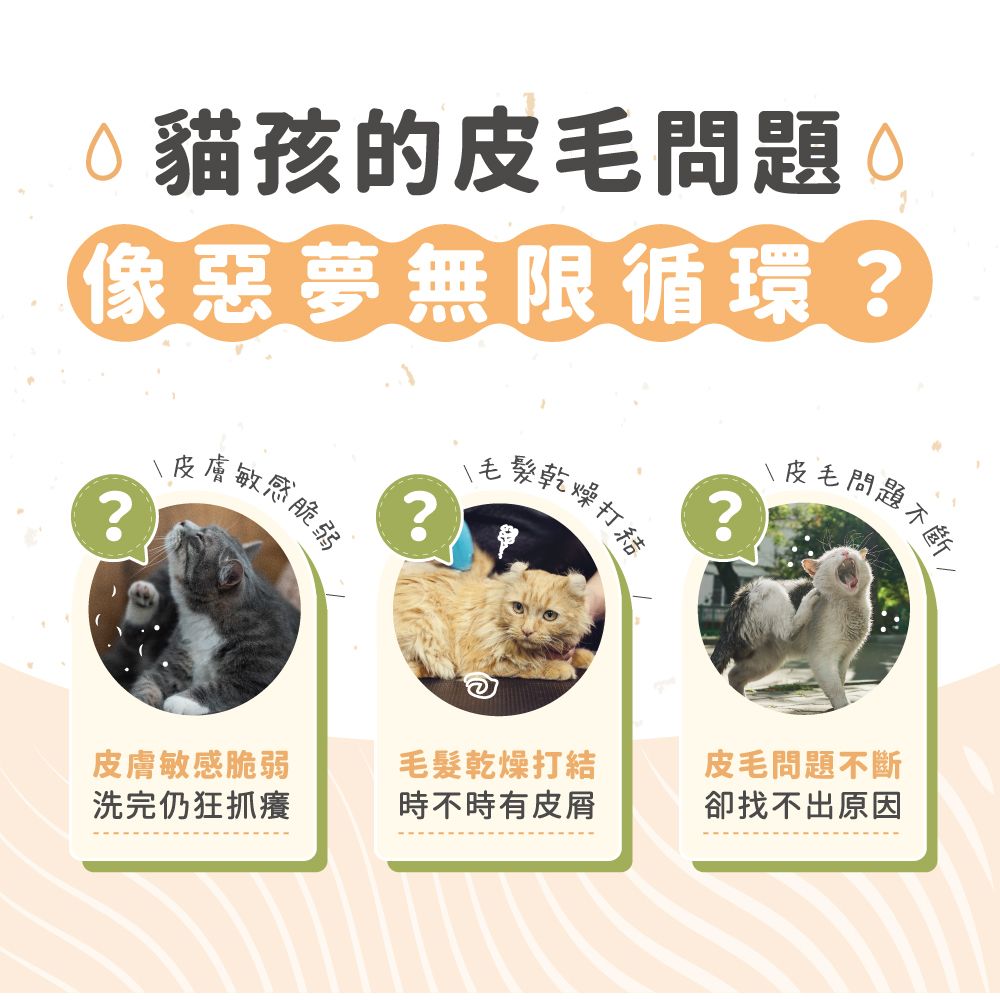 catgarden 貓後苑  貓咪草本洗毛精 試用組 1罐