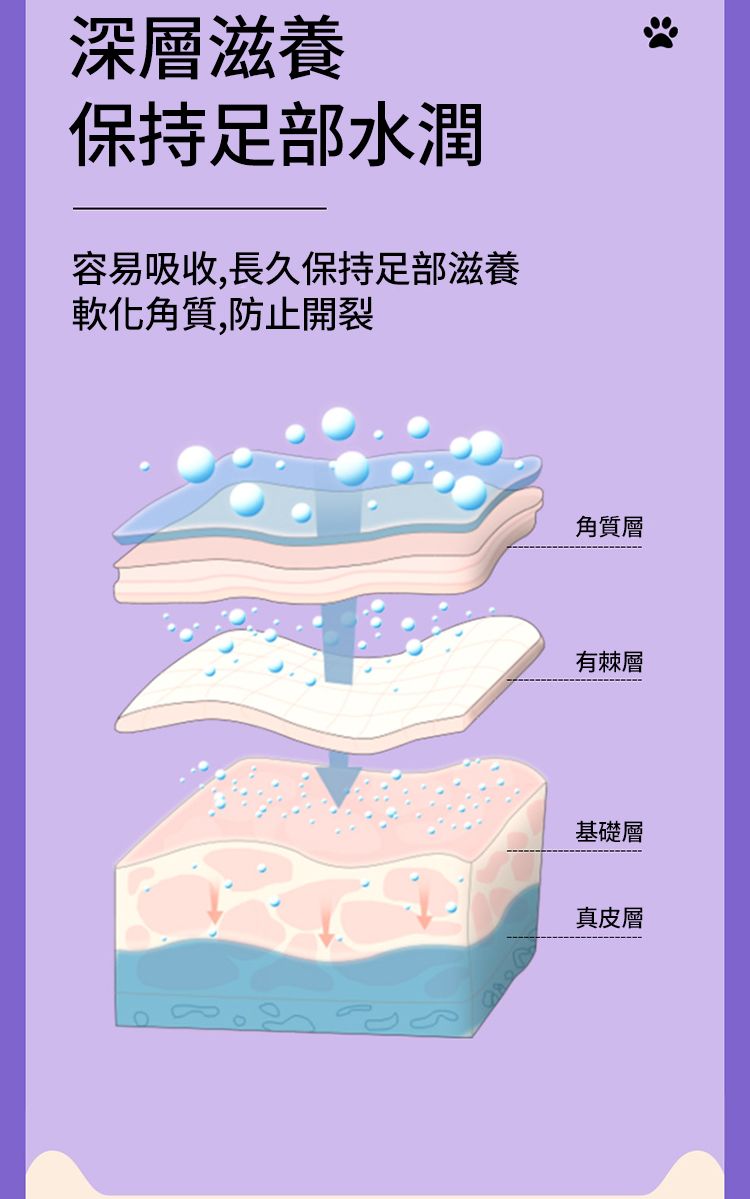 深層滋養保持足部水潤容易吸收,長久保持足部滋養軟化角質,防止開裂角質層有棘層基礎層真皮層
