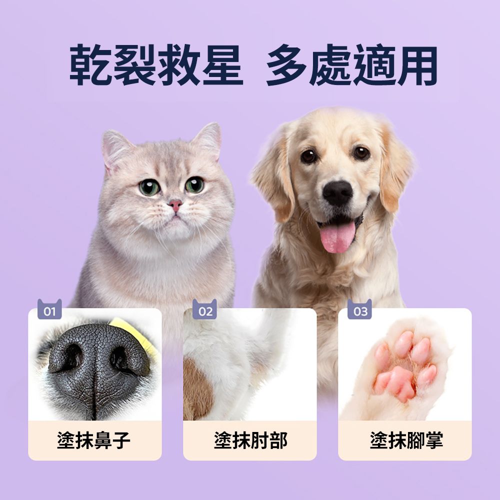 CITY STAR 貓狗寵物潤足膏-2入