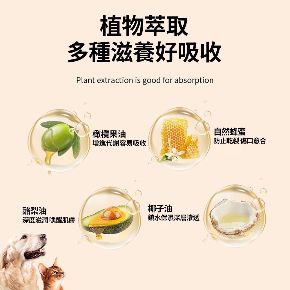 CITY STAR 貓狗寵物潤足膏-2入