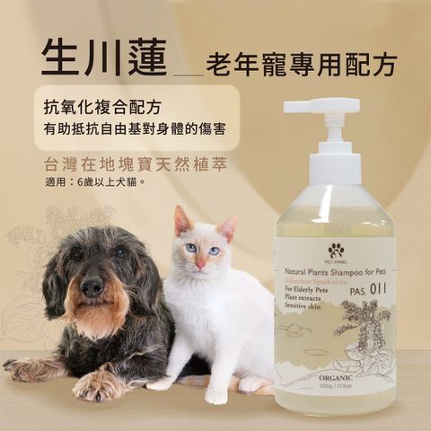 毛天使 孕犬貓高齡老年術後恢復