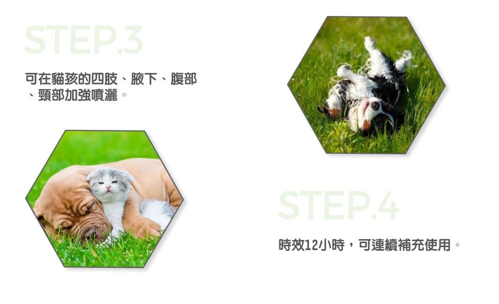 STEP.3可在貓孩的四肢、腋下、腹部、頸部加強噴灑。STEP.4時效12小時,可連續補充使用。