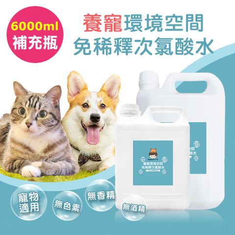 BUBUPETTO 毛孩環境空間用免稀釋次氯酸水-超值組6000mlx1組(毛小孩 寵物 環境)