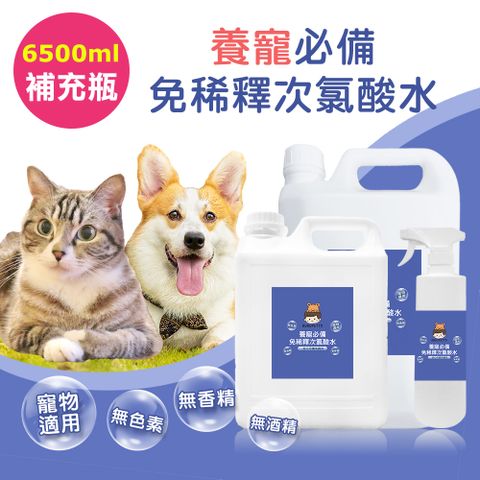 BUBUPETTO 毛孩必備免稀釋次氯酸水-6000mlx1+500mlx1(毛小孩 寵物 拖地)