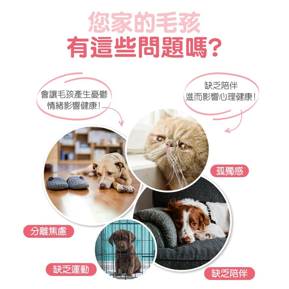 您家的毛孩有這些問題嗎?缺乏陪伴會讓毛孩產生憂鬱進而影響心理健康!情緒影響健康!分離焦慮孤獨感缺乏運動缺乏陪伴