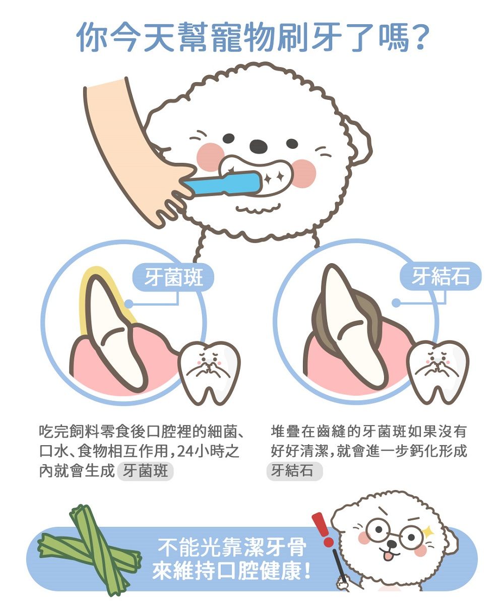 你今天幫寵物刷牙了嗎?牙菌斑牙結石吃完飼料零食後口腔裡的細菌、口水、食物相互作用,24小時之內就會生成 牙菌斑堆疊在齒縫的牙菌斑如果沒有好好清潔,就會進一步鈣化形成牙結石不能光靠潔牙骨來維持口腔健康!