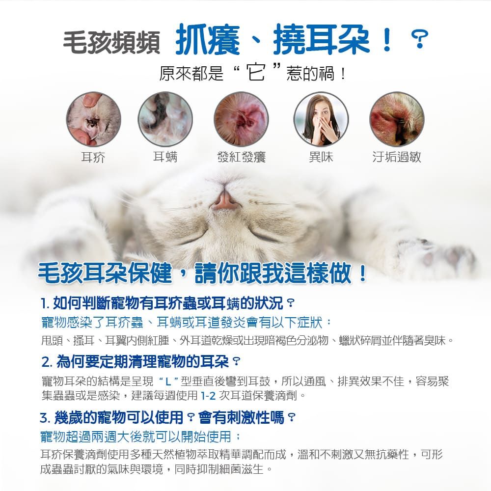 毛孩頻頻 抓癢、撓耳朵!?原來都是“它”惹的禍!耳疥耳螨發紅發癢異味汙垢過敏毛孩耳朵保健,請你跟我這樣做!1. 如何判斷寵物有耳疥蟲或耳螨的狀況?寵物感染了耳疥蟲、耳螨或耳道發炎會有以下症狀:甩頭、搔耳、耳翼內側紅腫、外耳道乾燥或出現暗褐色分泌物、蠟狀碎屑並伴隨著臭味。2. 為何要定期清理寵物的耳朶?寵物耳朵的結構是呈現“L”型垂直後彎到耳鼓,所以通風、排異效果不佳,容易聚集蟲蟲或是感染,建議每週使用1-2次耳道保養滴劑。 幾歲的寵物可以使用?會有刺激性嗎?寵物超過兩週大後就可以開始使用;耳疥保養滴劑使用多種天然植物萃取精華調配而成,溫和不刺激又無抗藥性,可形成蟲蟲討厭的氣味與環境,同時抑制細菌滋生。