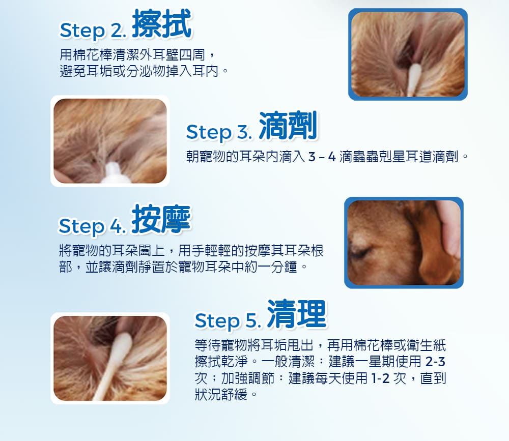 Step 2. 擦拭用棉花棒清潔外耳四周,避免耳垢分泌物掉入耳。Step 3. 滴劑朝寵物的滴入滴蟲蟲剋星耳道滴劑。Step 4. 按摩將寵物的耳朵闔上,用手輕輕的按摩其耳朵根部,並讓滴劑靜置於寵物耳朵中約一分鐘。Step5.清理等待寵物將耳垢甩出,再用棉花棒或衛生紙擦拭乾淨。一般清潔:建議一星期使用 2-3次;加強調節:建議每天使用1-2 次,直到狀況舒緩。