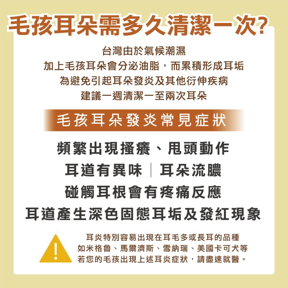 毛孩耳朵需多久清潔一次?台灣由於氣候潮濕加上毛孩耳朵會分泌油脂,而累積形成耳垢為避免引起耳朵發炎及其他衍伸疾病建議一週清潔一至兩次耳朵毛孩耳朵發炎常見症狀頻繁出現搔癢、動作耳道有異味耳朵流膿碰觸耳根會有疼痛反應耳道產生深色固態耳垢及發紅現象耳炎特別容易出現在耳毛多或長耳的品種如米格魯、馬爾濟斯、雪納瑞、美國卡可犬等若您的毛孩出現上述耳炎症狀,請盡速就醫。