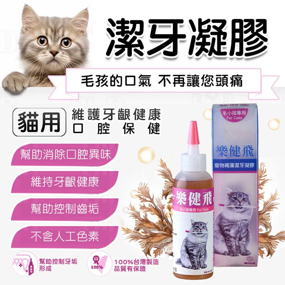 LCF 樂健飛 貓用寵物褐藻潔牙凝膠160ml